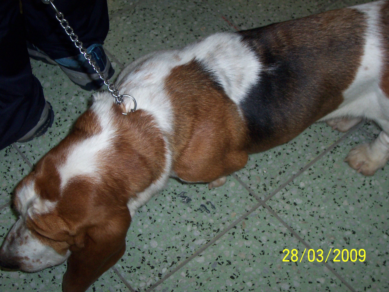 100_6415.JPG