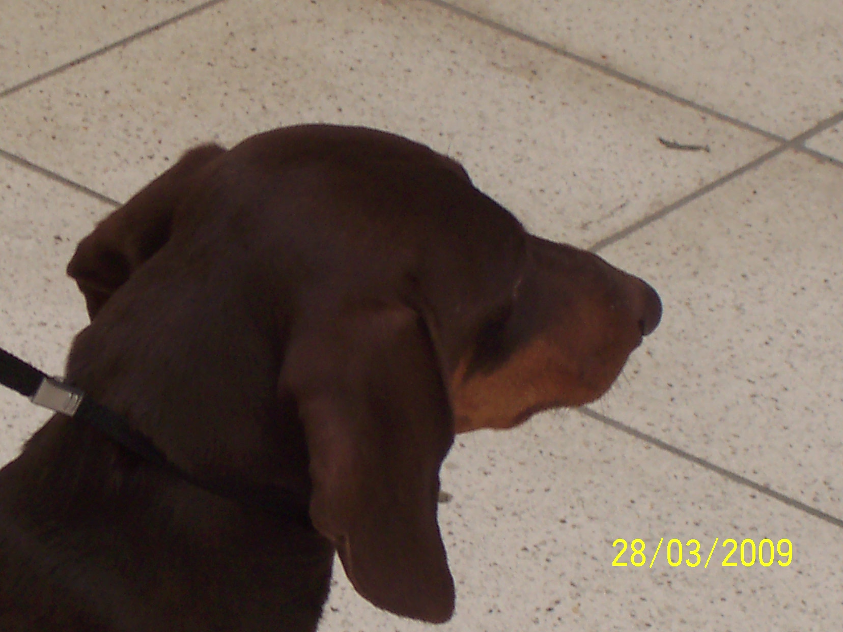 100_6401.JPG
