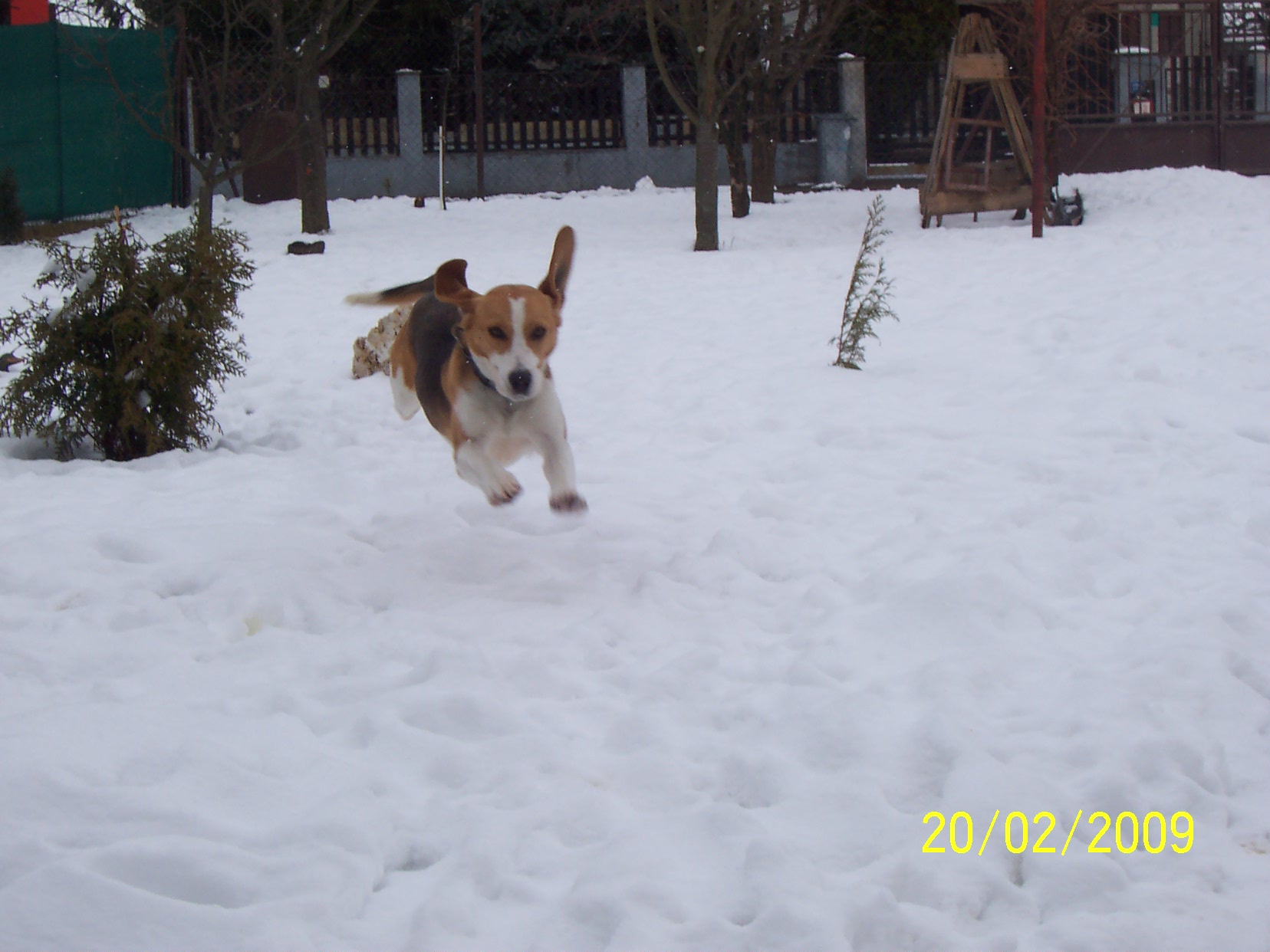 100_6132.JPG