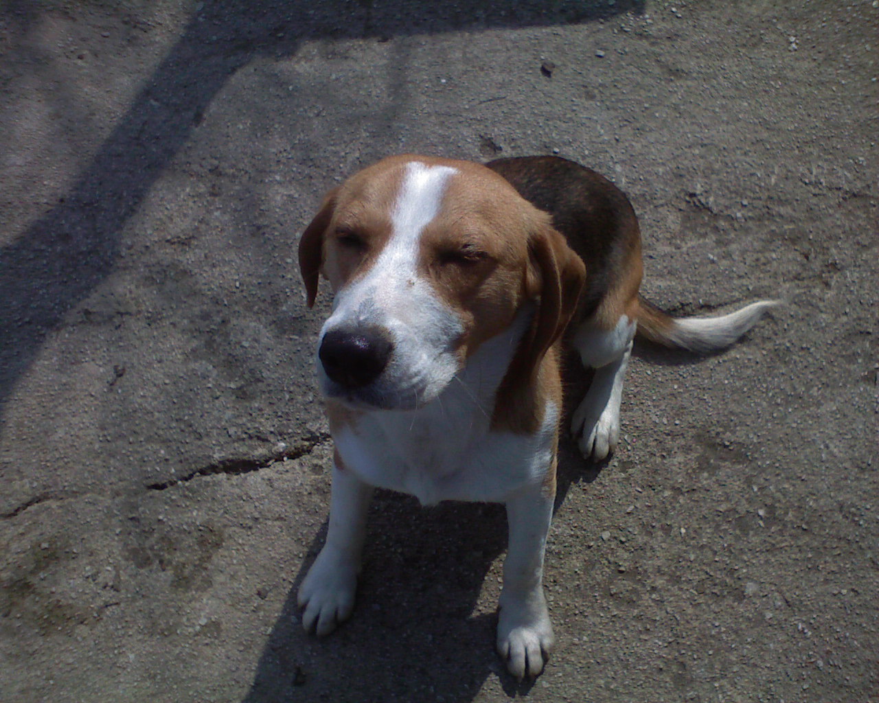 DSC00137.jpg