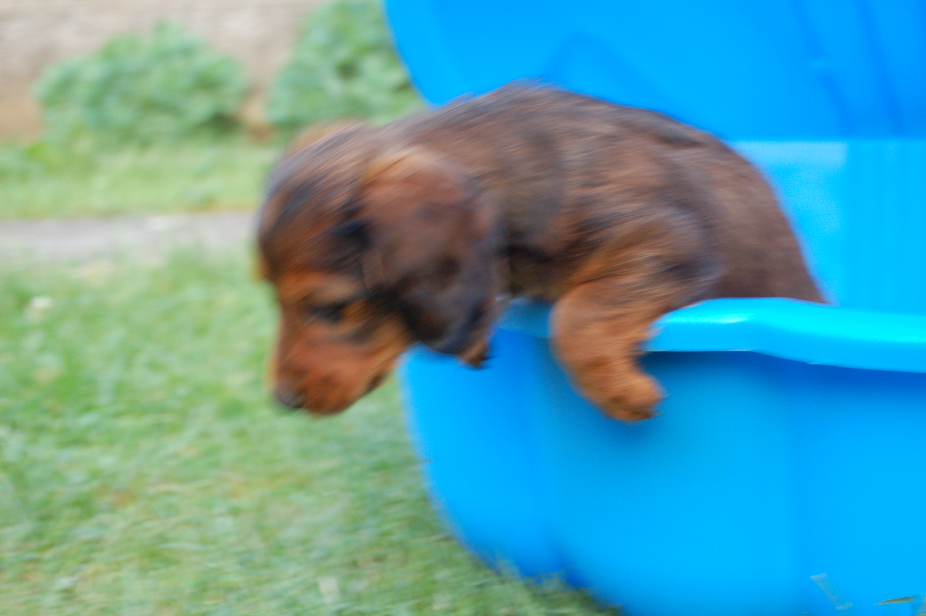 DSC_0042.JPG