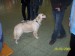 100_6394.JPG