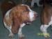 100_6458.JPG