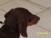 100_6401.JPG