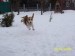 100_6132.JPG