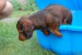 DSC_0044.JPG