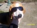 100_6382.JPG