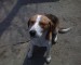 DSC00137.jpg